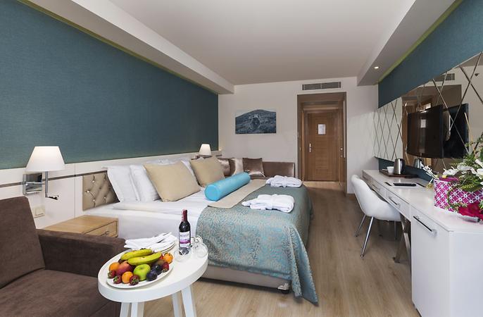 Standart Kara Manzaralı